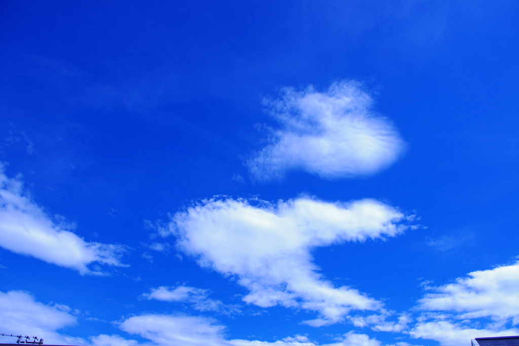 skyblue