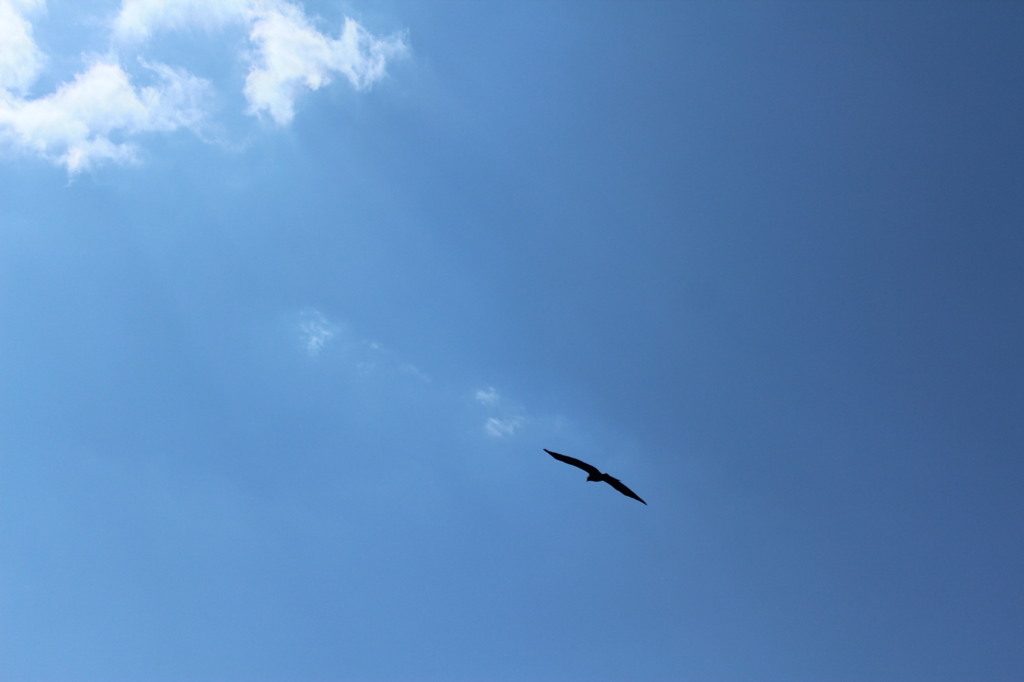 空へ