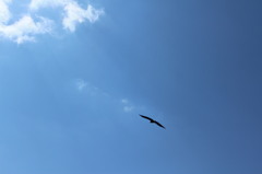 空へ