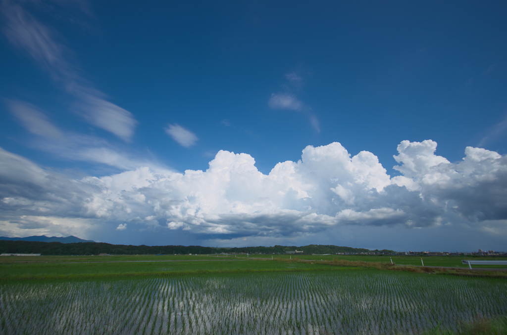 ところによりにわか雨・・・