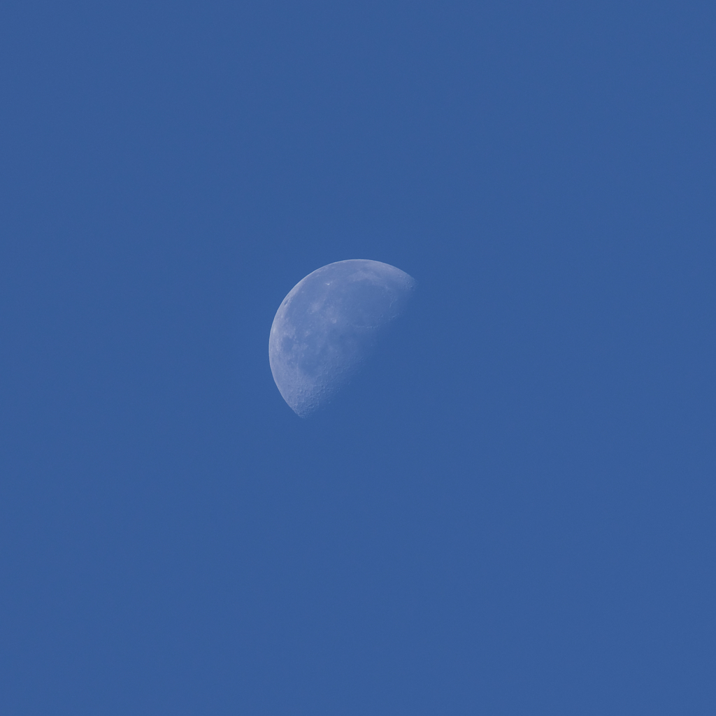 moon0343