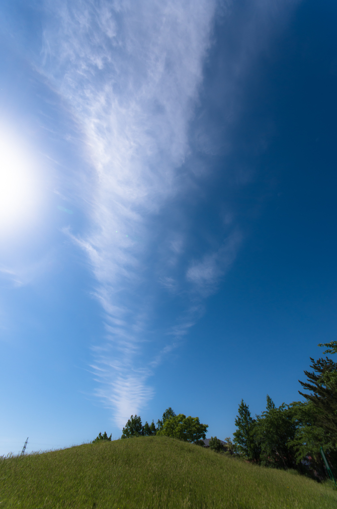 今朝の雲