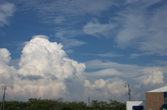 IMGP7753