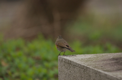 よっこらせ・・・・