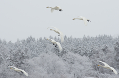 ヘェーイ！　雪降ったしまた来ちゃったぜ〜