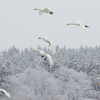 ヘェーイ！　雪降ったしまた来ちゃったぜ〜