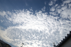 ぽこぽこ雲