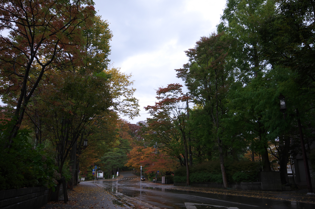 雨の千秋公園