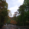 雨の千秋公園