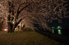 秋田県仙北郡角館夜桜　2012年5月1日
