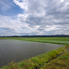近くの田んぼはほとんど田植えが終わったようです・・・