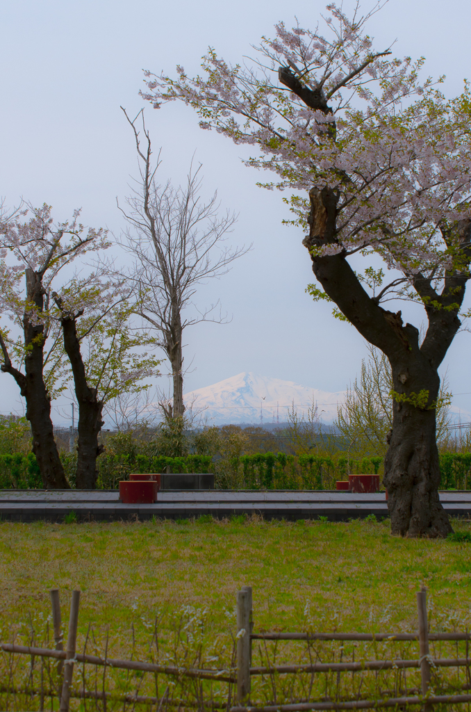 鳥海山