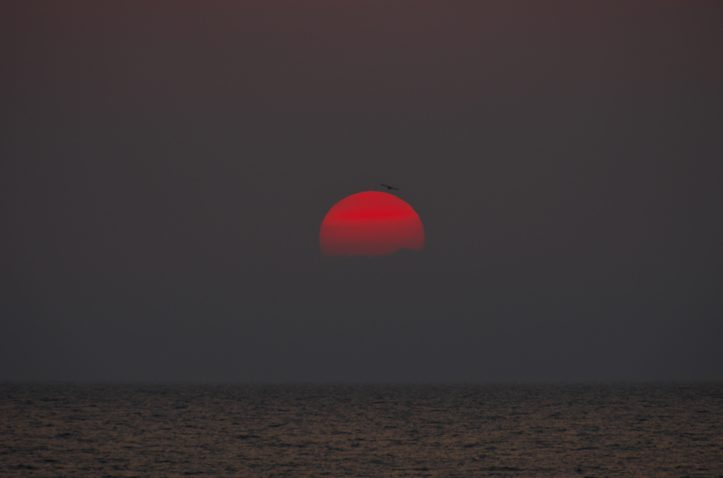 夕方はまだ寒いです・・・
