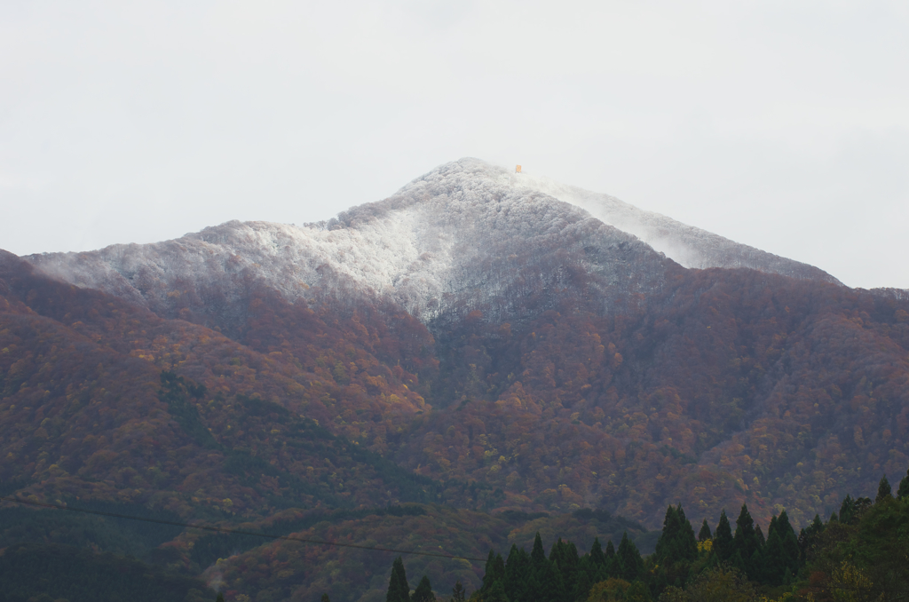 「初冠雪」