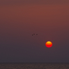 春の日本海