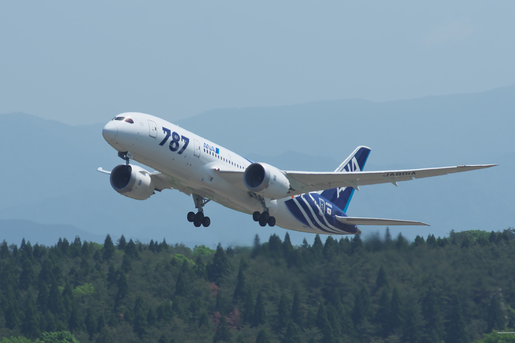 B787