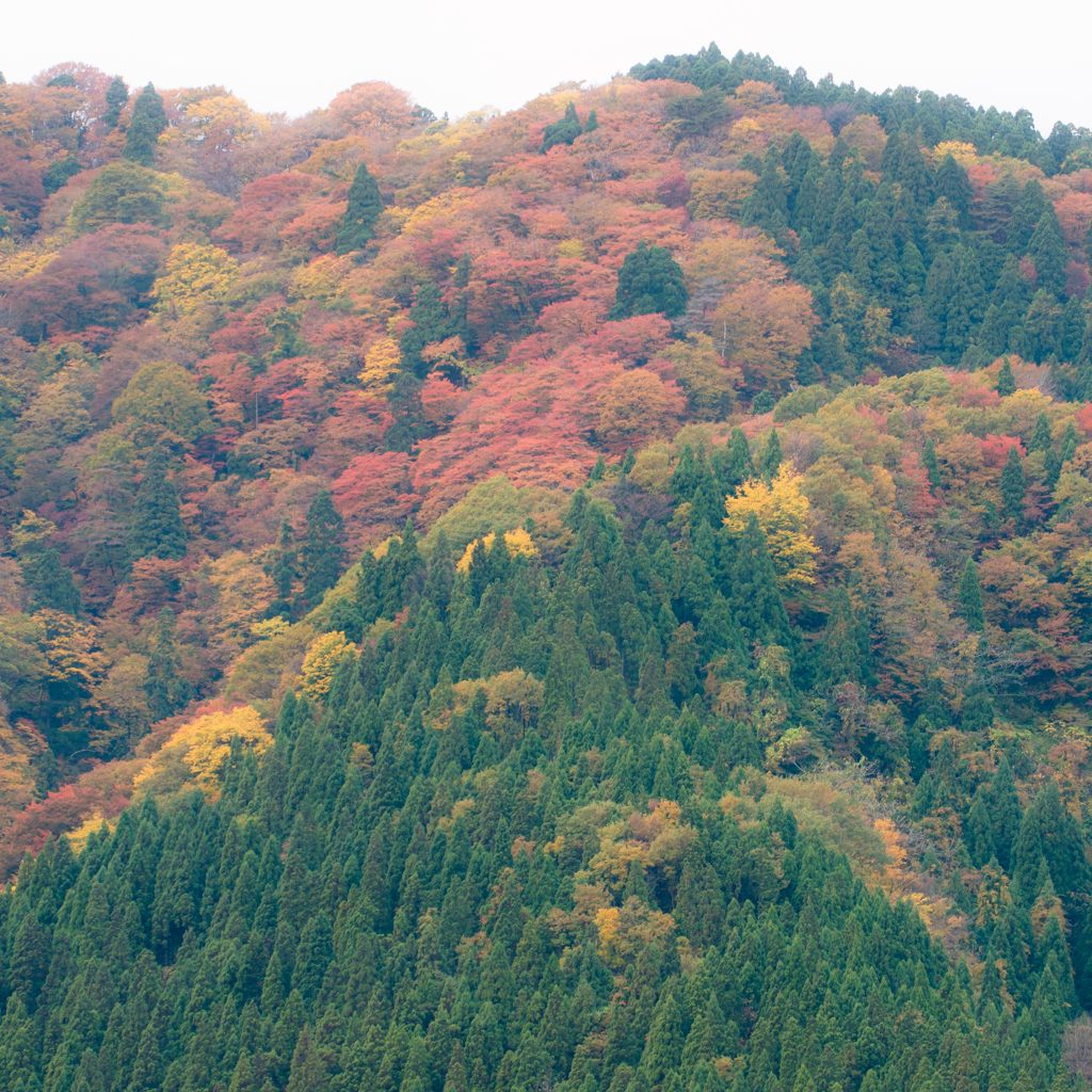 taiheizan