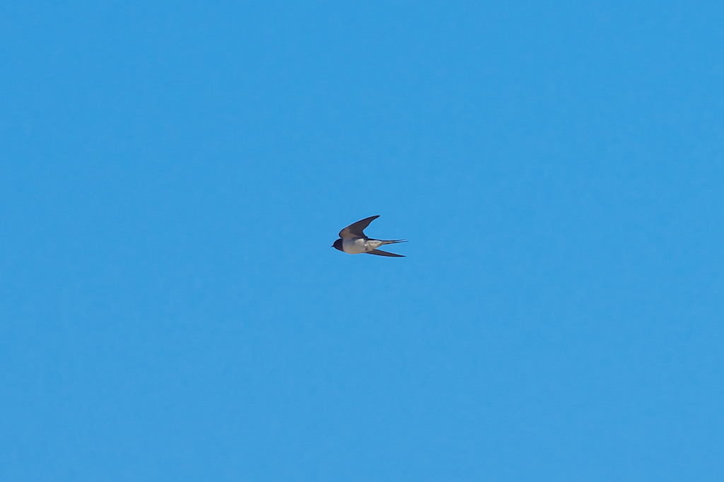 青空