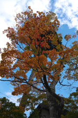 角館武家屋敷の紅葉・・・・・・・・・10月30日