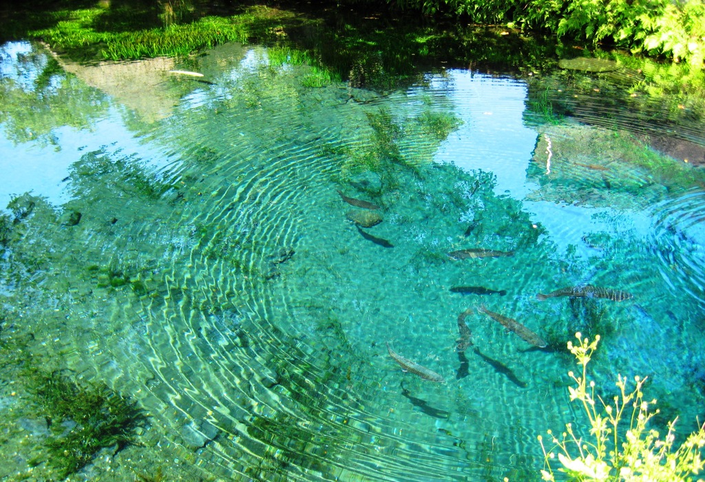 忍野八海