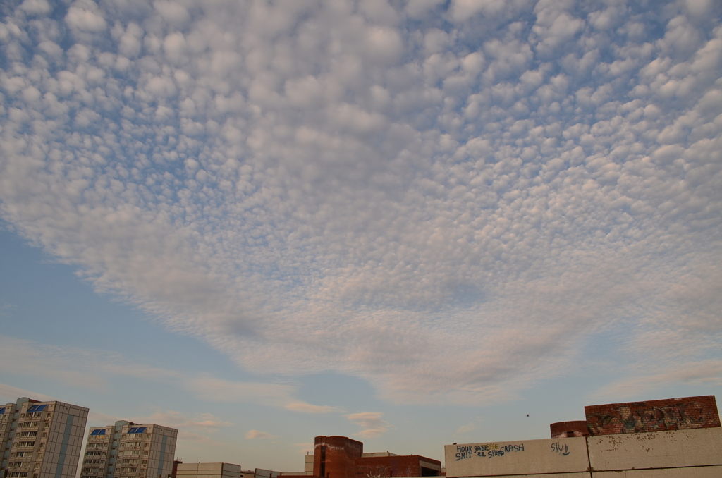 今日の不思議雲