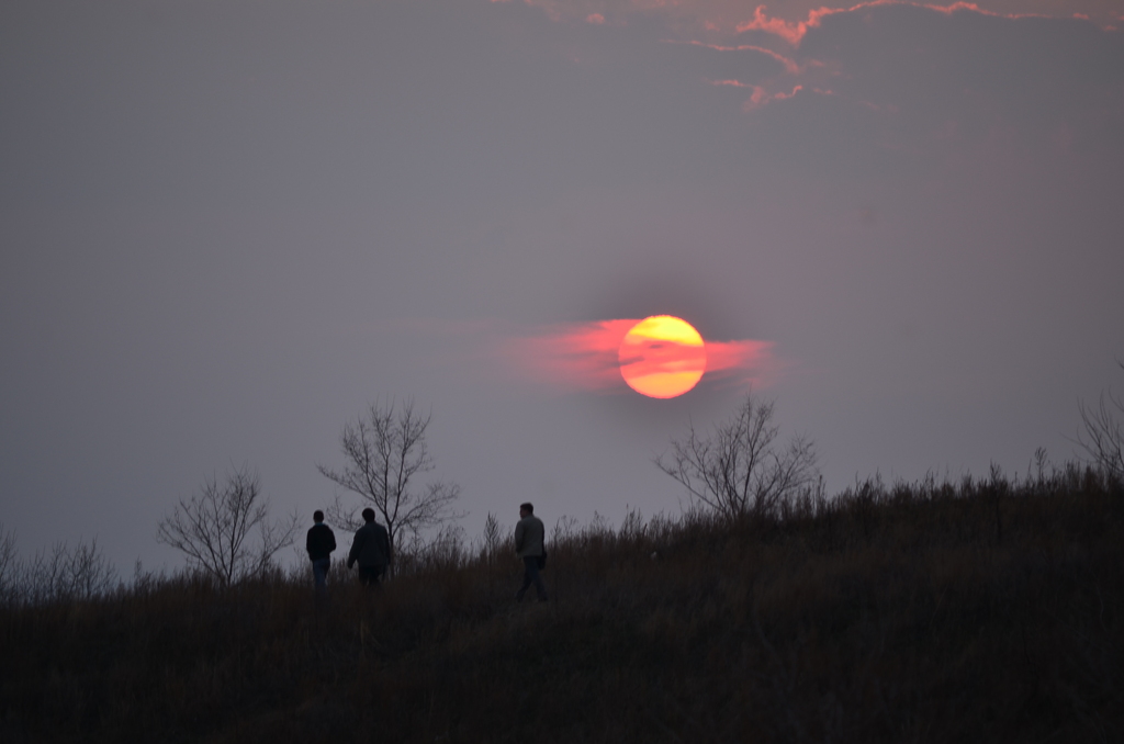 夕日狩り