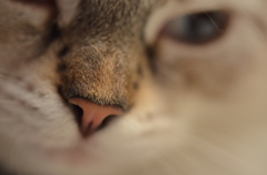 さびしかったよ。。。