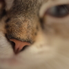 さびしかったよ。。。