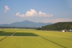 のどかだね　山