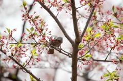 おいしいのかな？