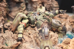 ザクで・・・ばかんす？「おーい　ビール取ってくれ～　（*＾▽＾*）」