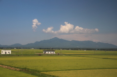 のどかだね　空