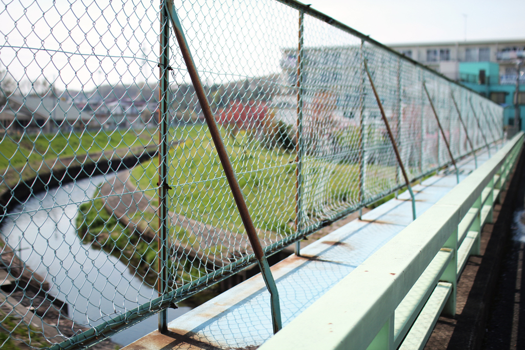橋の上で