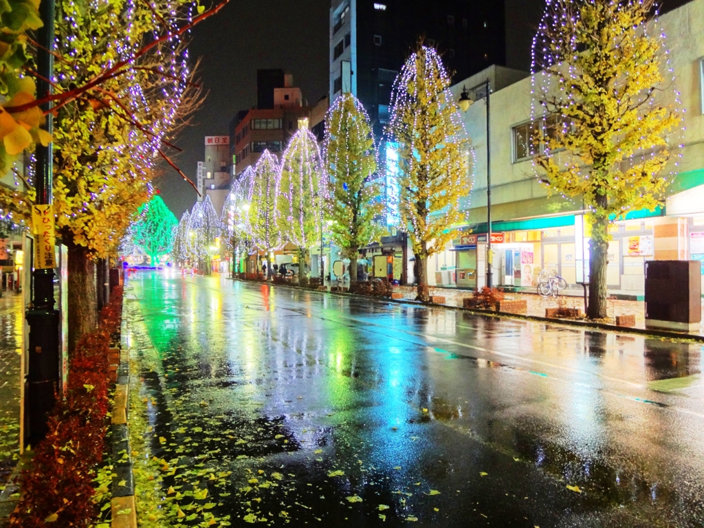 雨のイルミネーション