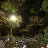 CIMG1147