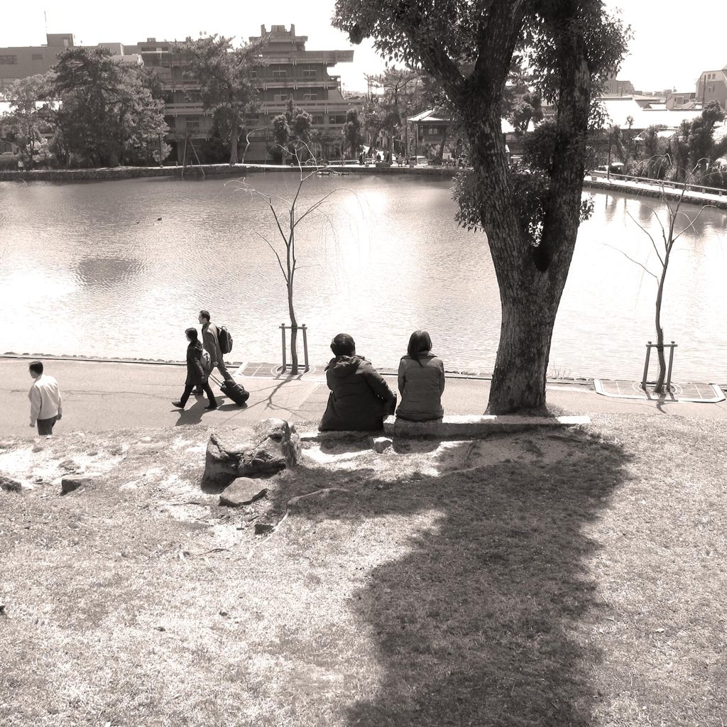 nara snap