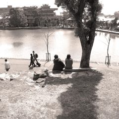 nara snap