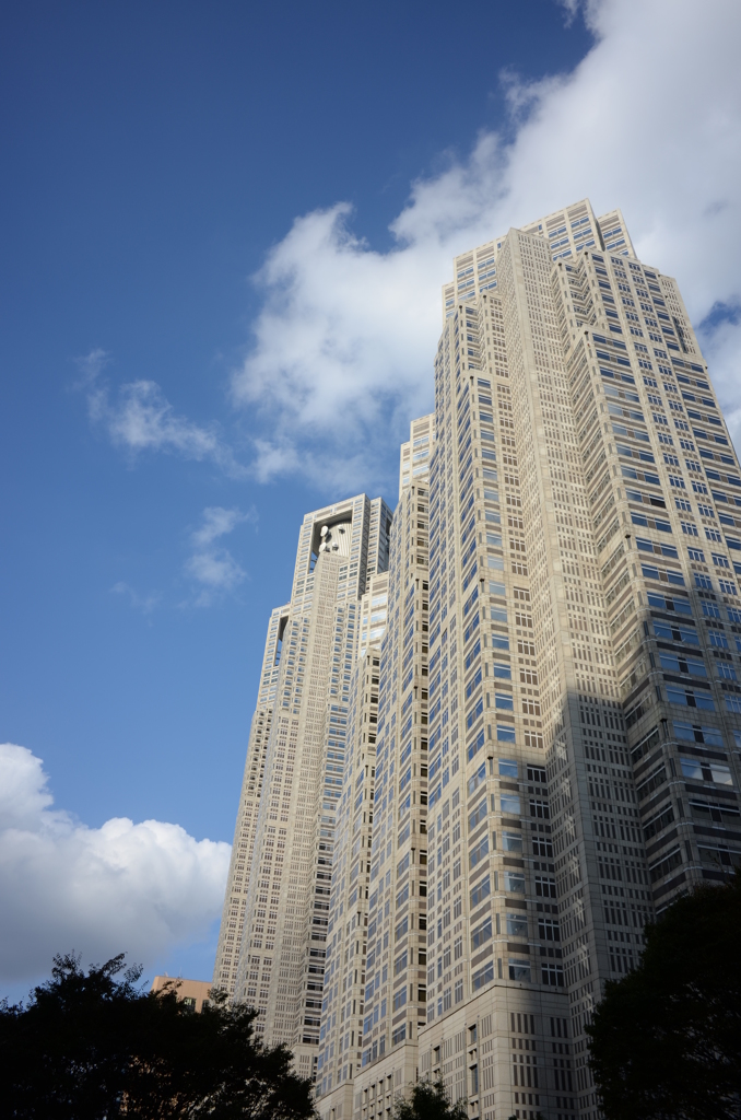都庁の裏側