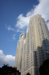 都庁の裏側