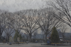 豪雨の中で