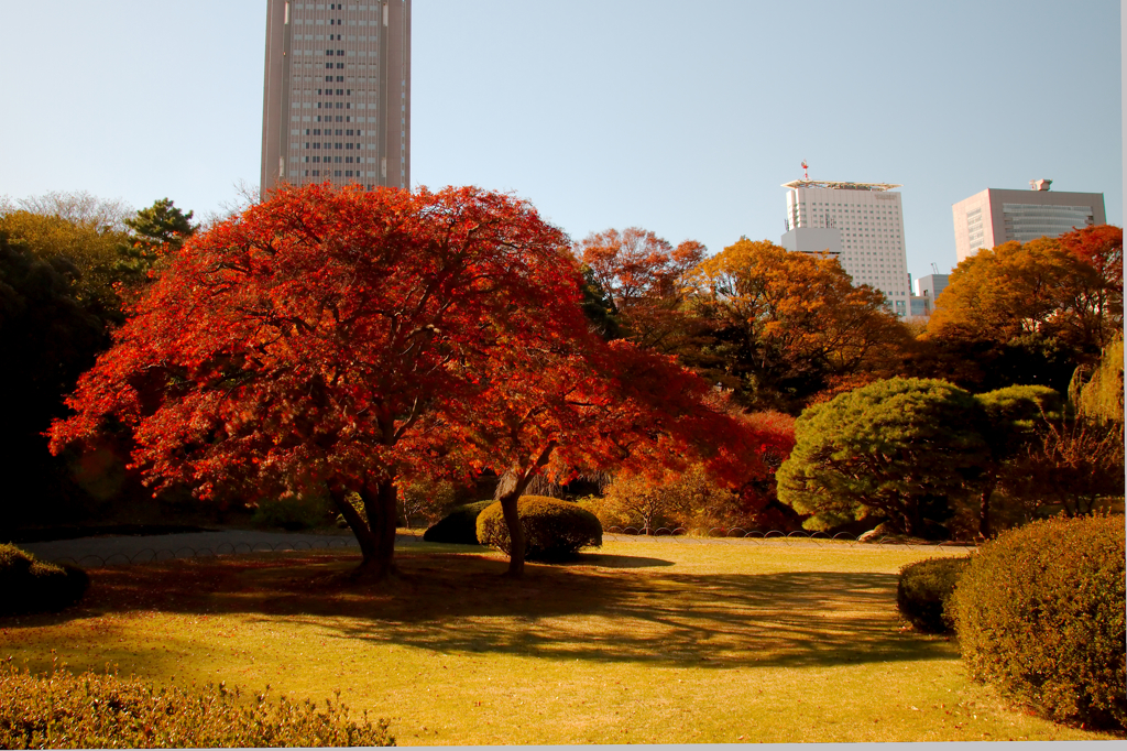 紅の佇まい