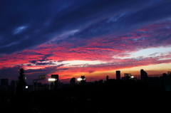 神宮球場と夕焼け雲