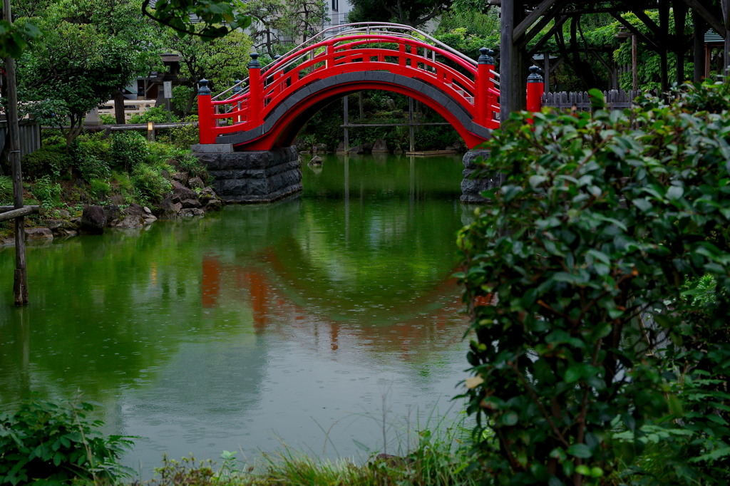 雨の太鼓橋