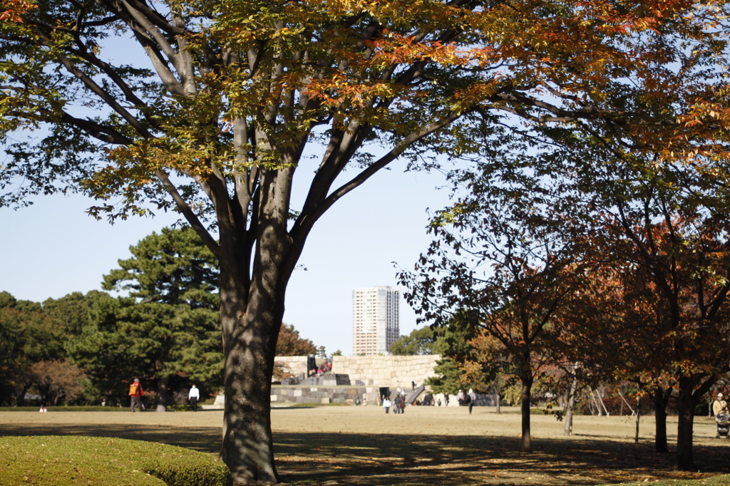 皇居東御苑の秋　2