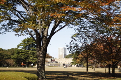 皇居東御苑の秋　2