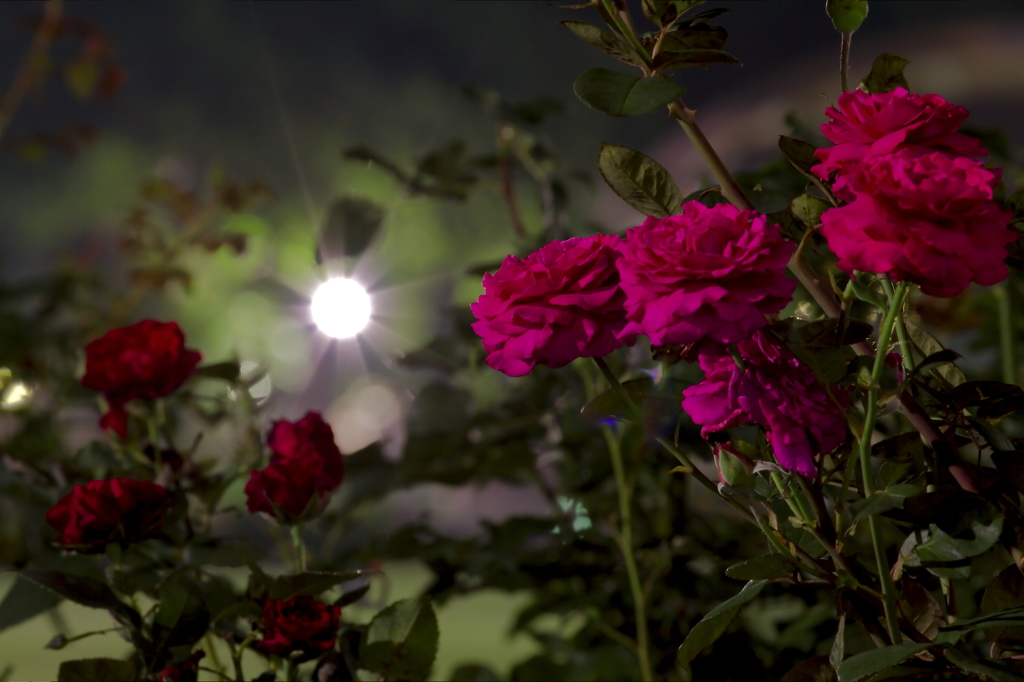 追悼！藤圭子さん 「圭子の夢は夜ひらく」