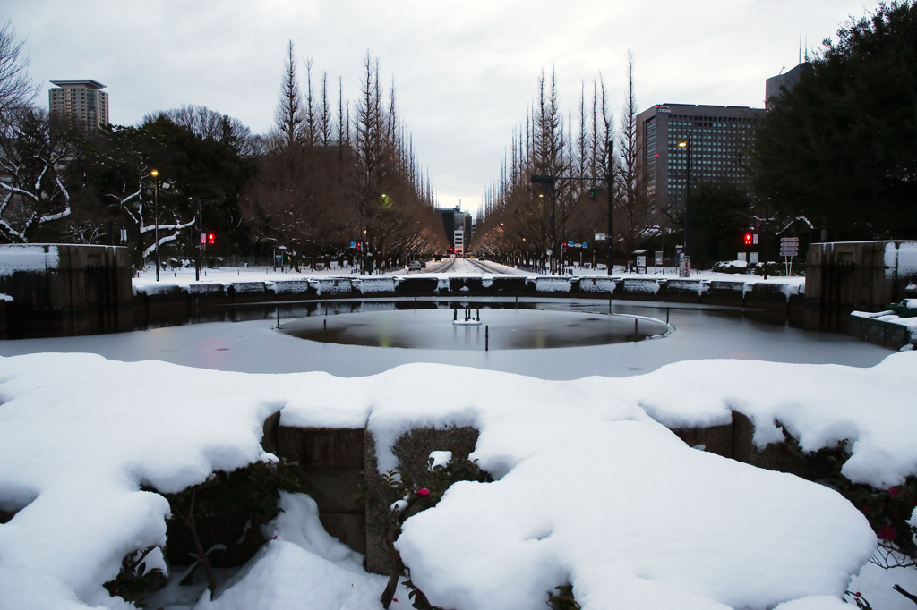 雪の銀杏並木