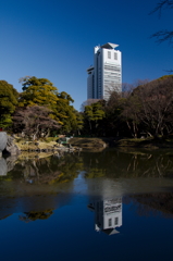 文京の白い巨塔