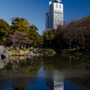 文京の白い巨塔