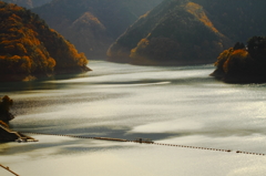 奥多摩湖の秋